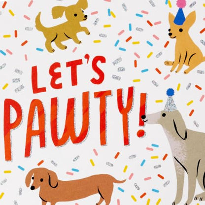Hallmark Birthday Cards with Envelopes, Assorted 20-Pack (It's Your Day!)