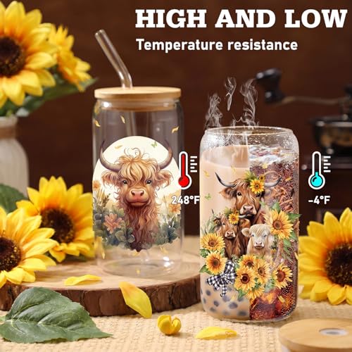Teenyyou 12 Set of Highland Cow Glasses with Bamboo Lid and Glass Straw 16 oz Summer Drinking Cup Beer Iced Coffee Cup Tumbler Mugs for Teacher's Day Gift Holiday Party Office - style: Highland Cow
