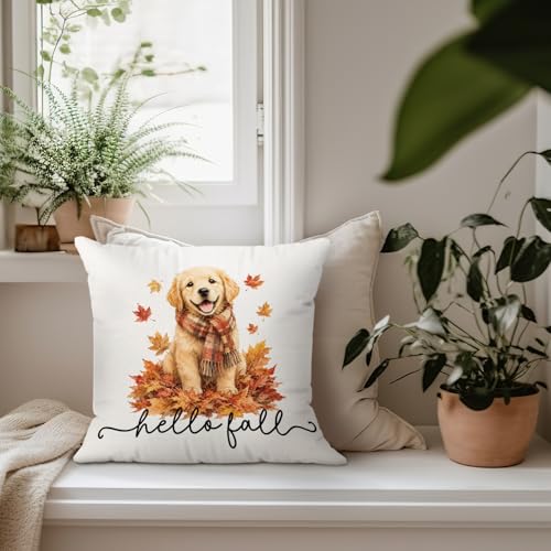 Hello Fall Leaf Golden Retriever Dog Throw Pillow Covers 18x18 - color: Dog