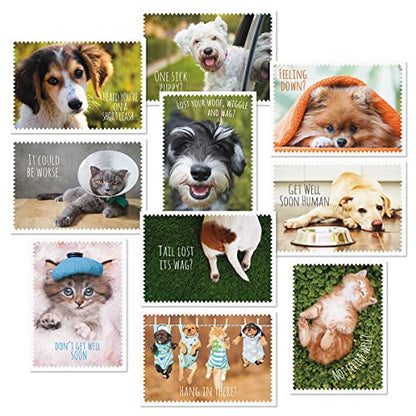 Current Get Well Greeting Card Set - color: Furry Friends