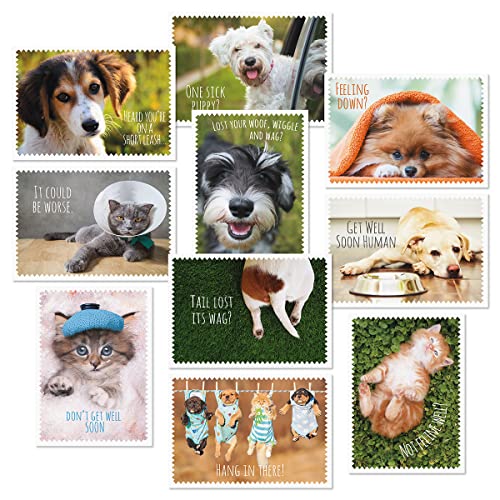 Current Get Well Greeting Card Set - color: Furry Friends