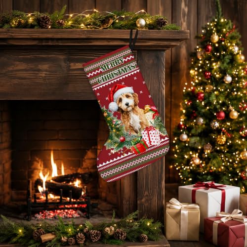 Cockapoo Dog Red and Green Christmas Stockings 16 Inch - color: Christmas21