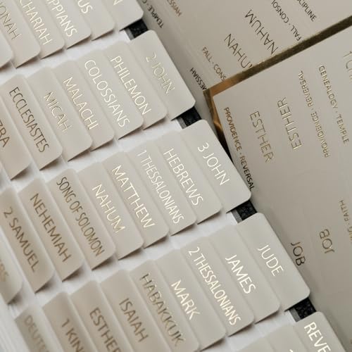 UPAFEXXI-Bible Tabs with Book Summaries, 3D Gold Foil Embossed Lettering - color: Summaries Gray