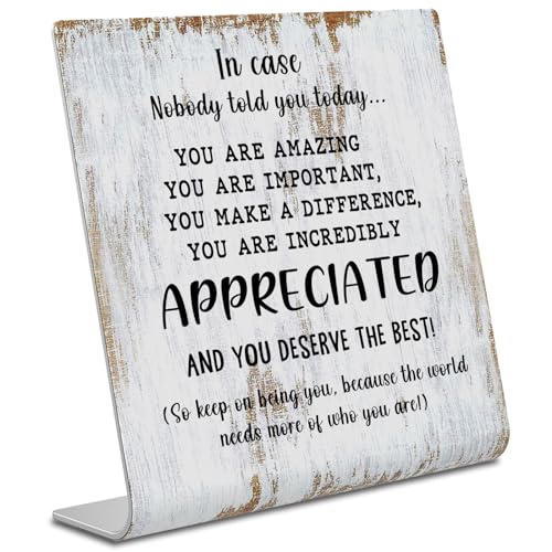 Thank You Gifts for Women Men Office Decor Sign Plaque, Appreciation Gifts Motivational Quote in Case Nobody Told You Today, APPRECIATED gifts for Coworker Friend XUV97 - style: APPRECIATED