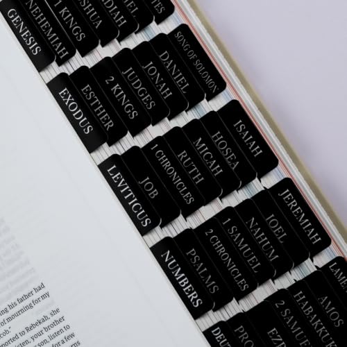 UPAFEXXI-Laminated Bible Tabs with Book Summaries, Bible Study Supplies - color: Summaries Black2