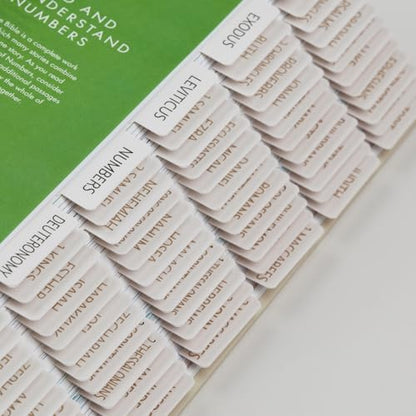 UPAFEXXI-Bible Tabs with Book Summaries, 3D Gold Foil Embossed Lettering - color: Summaries Cream