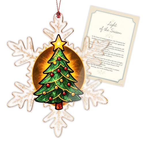 Northern Lights Ornament, Starry Night Beautiful Christmas Ornaments, Starry Night Gifts, Xmas Tree Decorations, Gift for Coworker, Friends, Family, Secret Santa Gift, Christmas Ornament 2025 - color: Snowtree