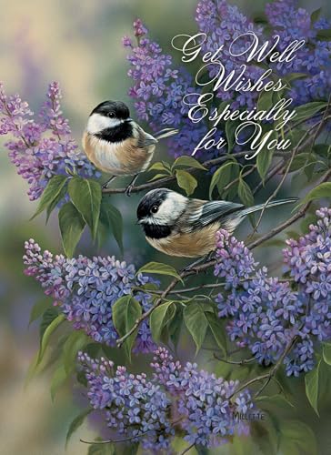 Thoughts & Prayers Cards KJV, 12 Count