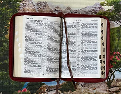 Russian Bible, Imitation Leather Zipper, Compact, Synodal