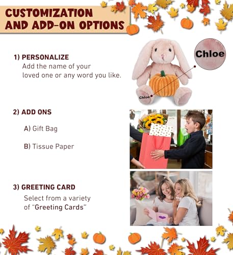 DolliBu Super Soft Baby Pink Rabbit Stuffed Animal with Pumpkin Plush Decor - Rabbit Pumpkin Plush Animal for Fall, Halloween and Thanksgiving, Pumpkin Plush Toy for Baby, Kids, Adults - 8 Inches