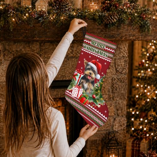 Yorkshire Terrier Red and Green Christmas Stockings 16 Inch - color: Christmas22