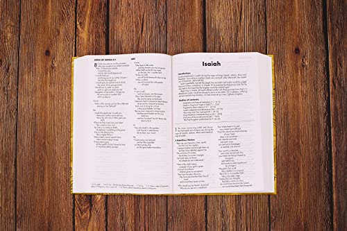 NIV, Textbook Bible for Students, Hardcover, Crinkled Paper with Doodles Design: Great for Christian Education at Home and School