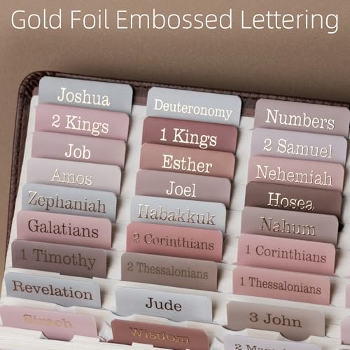 UPAFEXXI-Laminated Bible Tabs with Book Summaries - color: Summaries Earth Tone