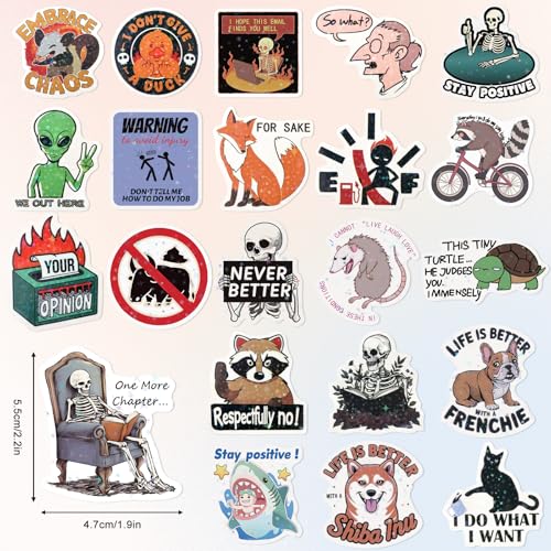 ELZO 300 Pcs Holographic Funny Stickers for Adults Pack - Sarcastic, Waterproof Vinyl Stickers for Water Bottle, Laptop, Phone, Journal, No Repeats - color: Sarcastic & Funny