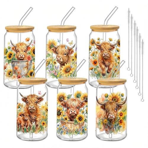 Glass Cups with Lids and Straws, 6Pack, 16oz, Sunflower Farmhouse - style: Highland Cow