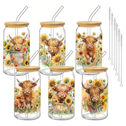 Glass Cups with Lids and Straws, 6Pack, 16oz, Sunflower Farmhouse - style: Highland Cow