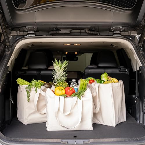 Cloth Grocery Shopping Bags Handles - Sturdy Canvas Material, Extra Large, Heavy Duty, and Premium Quality Cotton Grocery Shopping Bags with Real Pockets and Double Handles for Convenience (2 Bags)