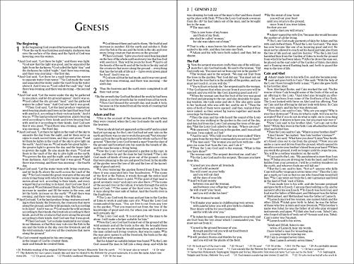 NIV, Economy Bible, Paperback: Affordable for Outreach, Church Ministry, and Bulk Distribution