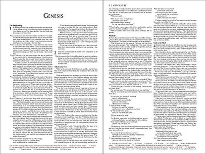 NIV, Economy Bible, Paperback: Affordable for Outreach, Church Ministry, and Bulk Distribution
