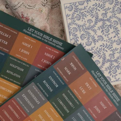 UPAFEXXI-Laminated Bible Tabs with Book Summaries, Bible Study Supplies - color: Summaries Boho3