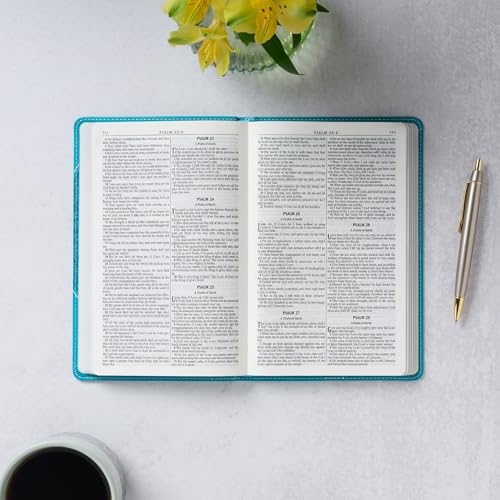 KJV Holy Bible, Gift Edition for Girls/Teens King James Version, Faux Leather Flexible Cover, Teal Butterfly (KJV Gift Editions)