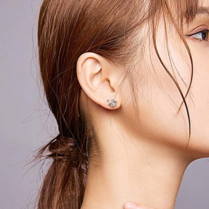 Cute Stud Earrings for Women Dachshund Koi Fish Sea Star Sea Turtle Sea Conch Earrings 14K Gold Plated Dainty Stud Earring funky Jewerly - color: silver sea turtle conch