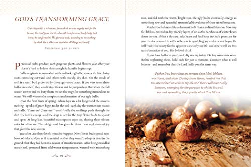 Devotions from the Garden: Finding Peace and Rest from Your Hurried Life (A 90-Day Devotional)