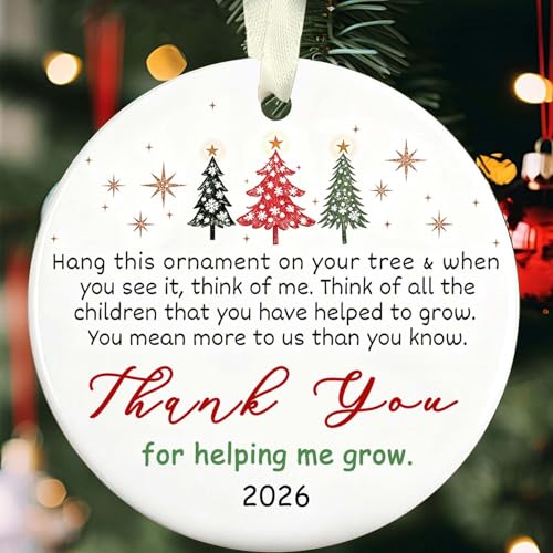 Christmas Ornaments 2026 - Thank You Gifts - Appreciation, Boss Day Ideas for Women, Men, Coworkers, Bosses, Teachers - Retirement, Farewell, Going Away - color: Thank You05