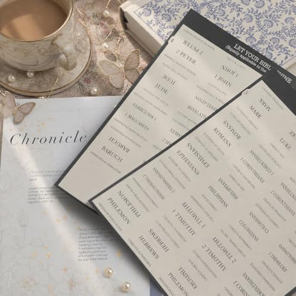 UPAFEXXI-Laminated Bible Tabs with Book Summaries, Bible Study Supplies - color: Summaries Gray2