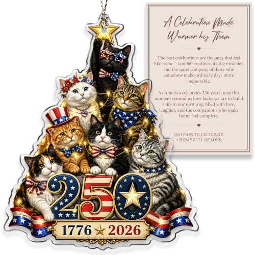 Funny cat Gifts, Cat Ornament for Cat Lover Gifts, Christmas Decorations, Cute Christmas Women Gift - color: 250cat01
