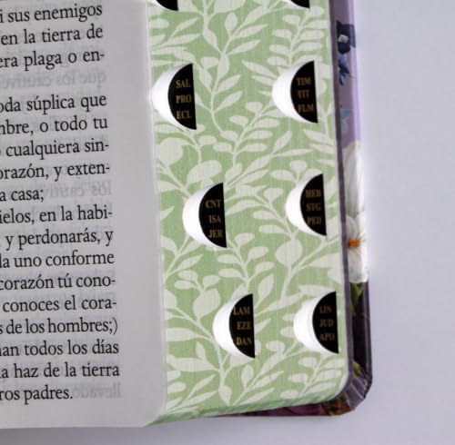 Biblia Reina Valera letra gigante, tapa dura, flores moradas, con cantos pintados e índice / Spanish Bible Reina Valera Giant Print, Hardcover Purple Flowers (Spanish Edition)