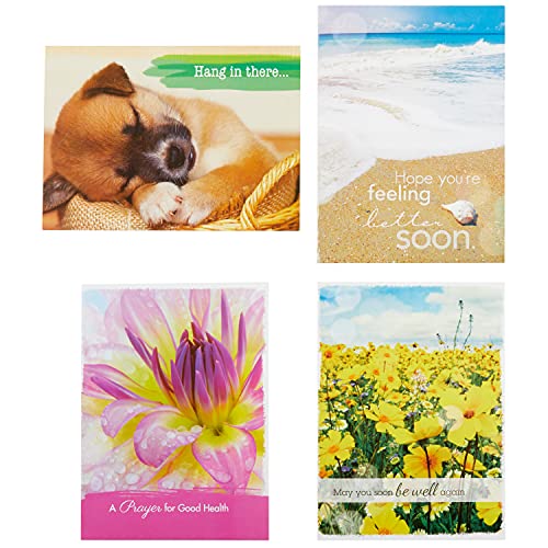 Paper Craft IG98642-RE Religious Get Well Soon Card Set with Envelopes, 12 Cards, 4.75'' W x 6.5'' H, Puppy, Floral, and Landscape Photography