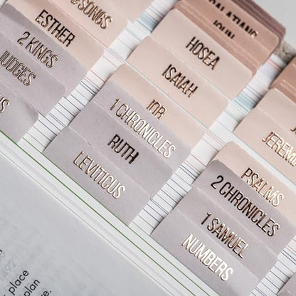 DiverseBee Laminated Bible Tabs (Rose Gold Embossed Lettering), Bible Journaling Supplies, Bible Book Tabs, Christian Gift, 73 Bible Tabs for Women and Men, Includes 4 Blank Tabs (Pearl) - color: Pearl