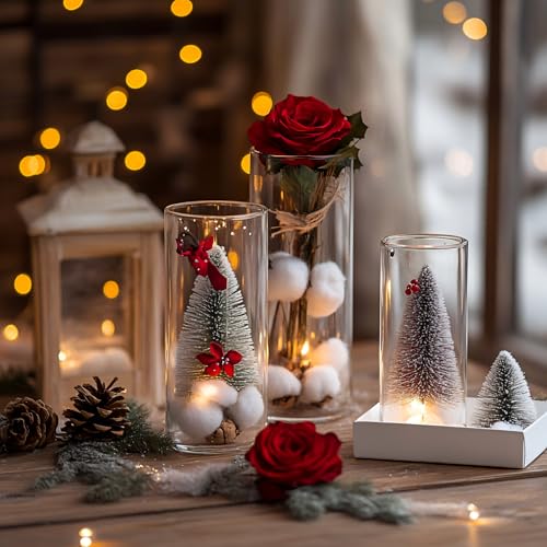 TBWIND 12pcs 8 Inch Clear Glass Cylinder Vases for Centerpieces - size: 12 Pack 8 Inch - Clear