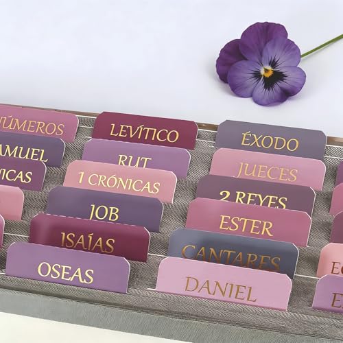Vorscrin-Laminated Bible Tabs for Women and Men, Gold Foil Lettering Design, Reposition and Large Print Stickers, Bible Study Supplies, 90 Chapters Labels for Easy Navigation(Spanish Dusty Rose) - color: Spanish Dusty Rose
