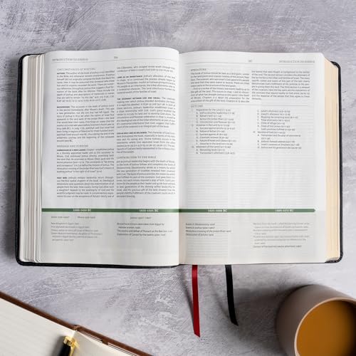 NASB Study Bible, Black Genuine Leather, Full-Color, Red Letter, Study Notes and Commentary, Illustrations, Book Introductions, Articles, Word Studies, Outlines, Timelines, Maps