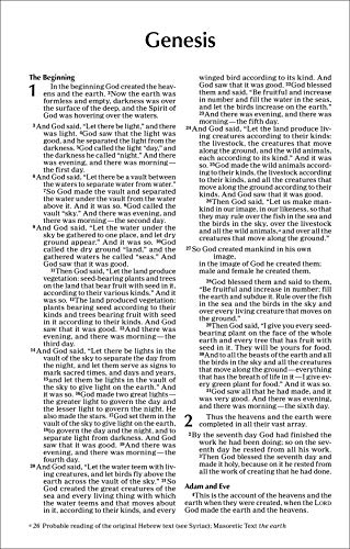 NIV, Value Outreach Bible, Paperback: (Perfect for Church Newcomers, Ministry Gifts, and Events)