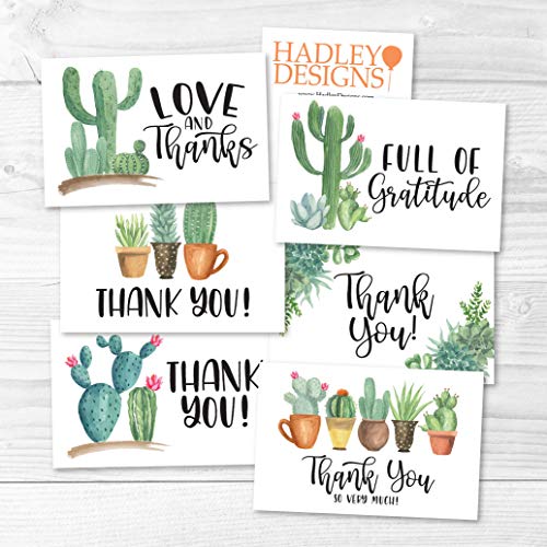 24 Bulk Thank You Cards with Envelopes Blank Cute Thank You Notes - color: Succulent