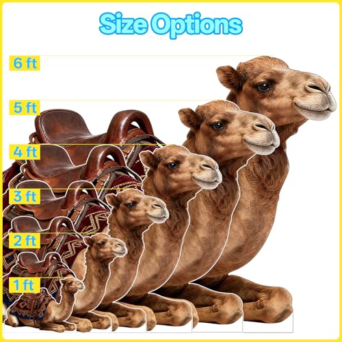 Nativity Camel 2FT Life Size Cardboard Cutout Standup, 1 PC - color: Camel1, size: 2FT