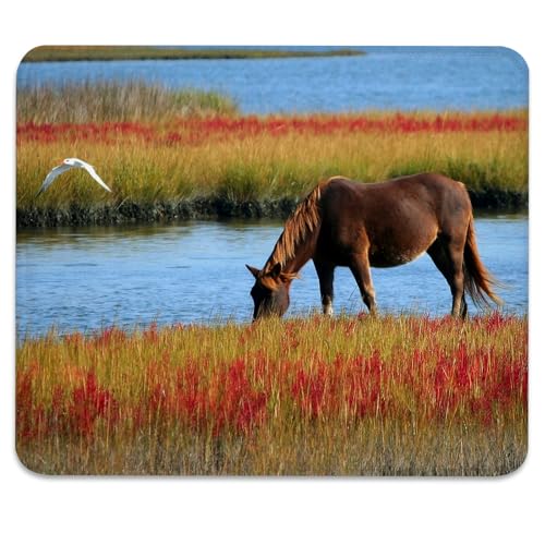 Brown Wild Horse in Autumn Wetlands Mouse Pad, Cute Durable Desk Mat - color: Color_DE0006XX