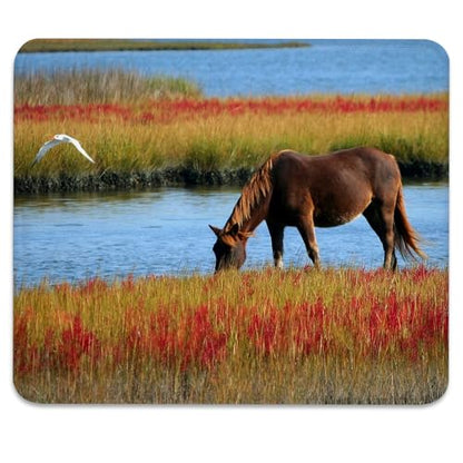 Brown Wild Horse in Autumn Wetlands Mouse Pad, Cute Durable Desk Mat - color: Color_DE0006XX