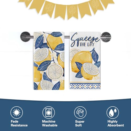 Blue Lemon Kitchen Dish Towels Set of 2, Amalfi Coast Capri Squeeze - color: Lemon