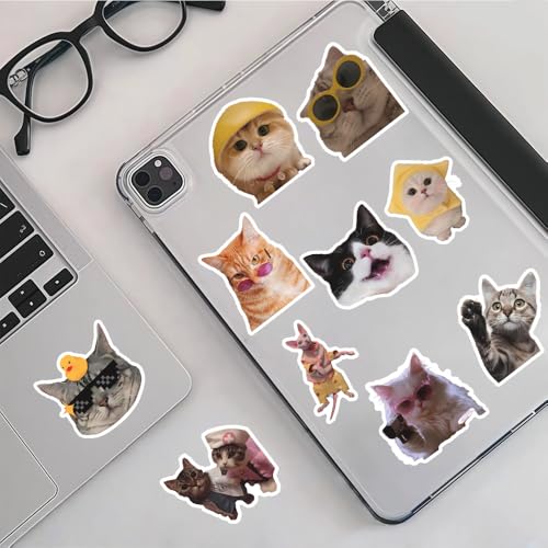 200 PCS Holographic Cat Stickers Pack, Kawaii Cat Meme Stickers Funny Kitten Sticker for Water Bottles Laptop Luggage Suitcase, DIY Waterproof Vinyl Decals Gifts for Adults - style: 200 PCS Holographic Cat Meme Stickers - With Gifts Box