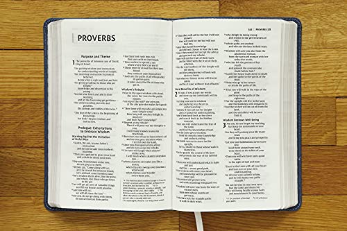 NIV, Bible for Teens, Thinline Edition, Leathersoft, Blue, Red Letter, Comfort Print