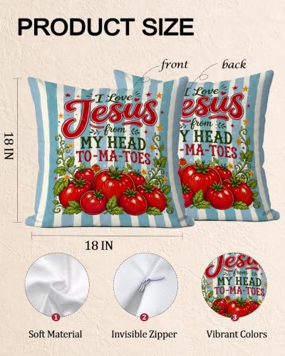 Preppy Blue Striped Christmas Tomato Pillow Cover 18x18 - color: Blue Striped
