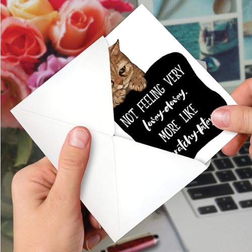 NobleWorks, Get Well Greeting Card with 5 x 7 Inch Envelope (1 Card) Cat Antics - Scratchy Bitey C3638FGWG - style: Cat Antics - Scratchy Bitey