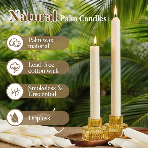 Ashlux 12 Pack Taper Candles, 10 Inch Unscented Palm Candlesticks Dripless - color: Ivory