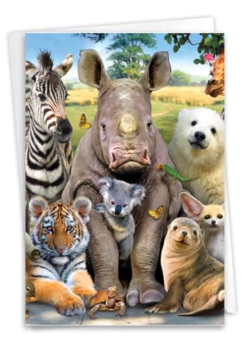 NobleWorks - Funny Get Well Greeting Card - Hilarious Feel Better Notecard with Envelope - Here's Looking At Zoo C6639AGWG-US - style: Here's Looking At Zoo