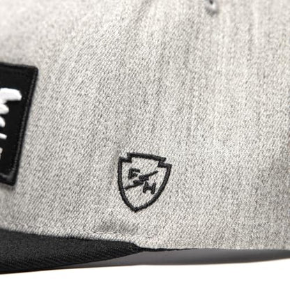 FASTHOUSE Emblem Hat - color: Heather Gray