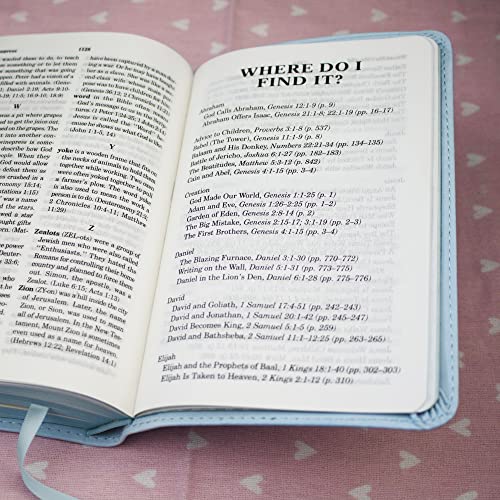 ICB, Really Woolly Holy Bible for Toddlers, Pink Leathersoft: International Children's Bible – Helping Little Hearts Grow in God's Love